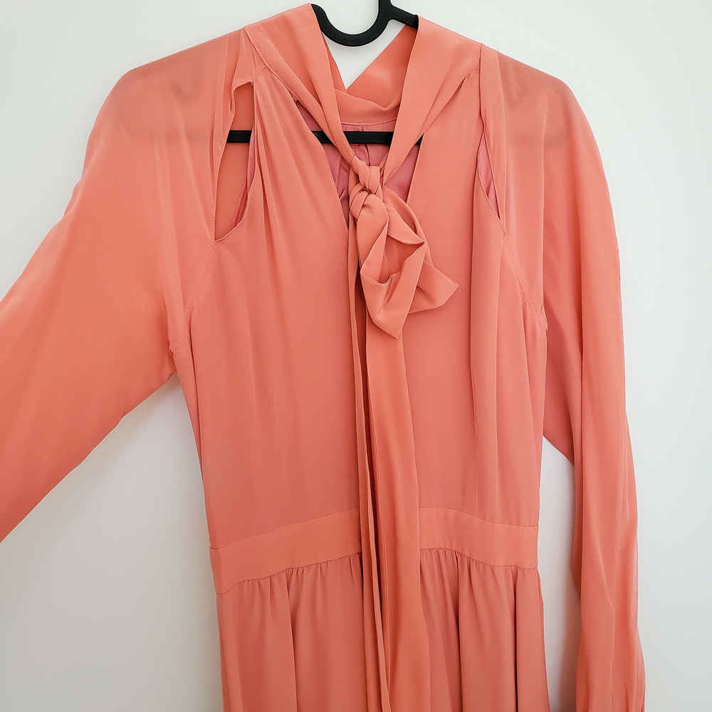 STINE GOYA Peach Silk Gown - Picture 7 of 7